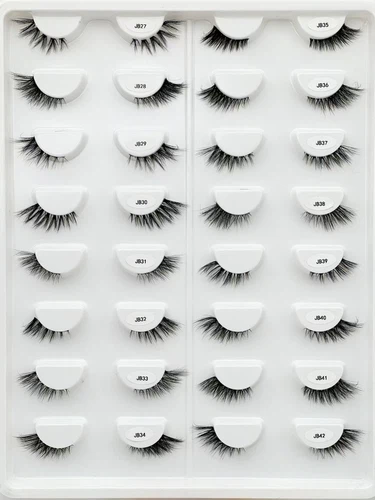 2026030412243817436 2026030412243817436